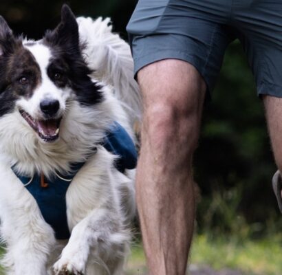 Pet Therapy: perché il tuo Amico a 4 zampe migliora la tua vita quotidiana